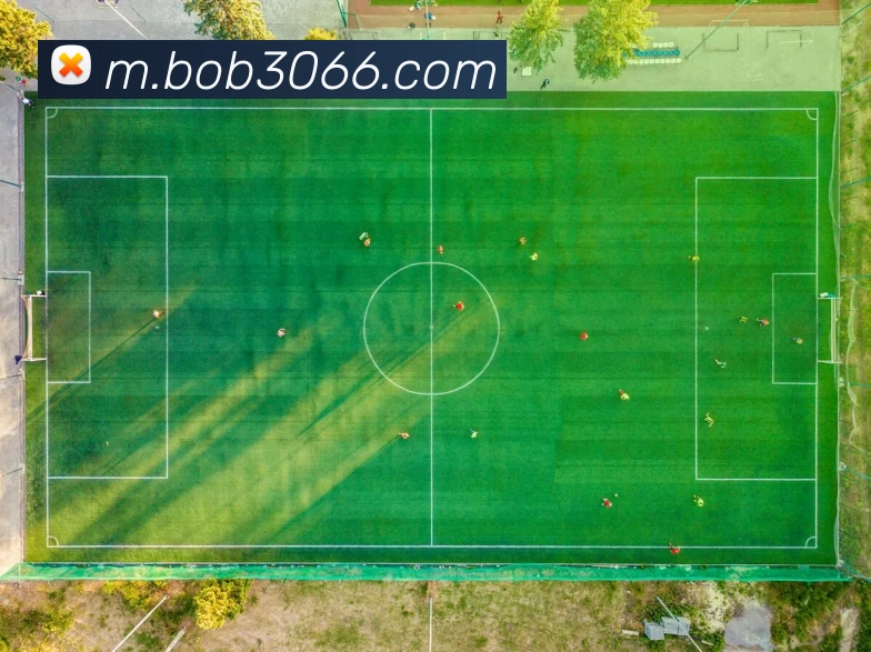 bob半岛官方网站平台生态图